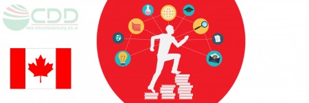 Kế hoạch học tập và định hướng nghề nghiệp