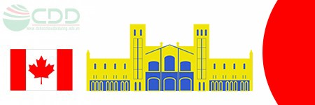 Các trường Đại Học