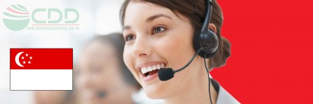 Tư vấn tài chính du học Singapore