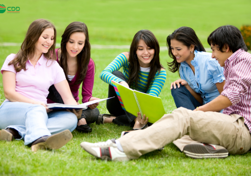 Chăm sóc du học sinh Việt Nam ở nước ngoài