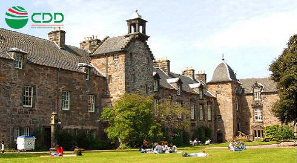 Hồ sơ của tôi sẽ được đọc như thế nào ?