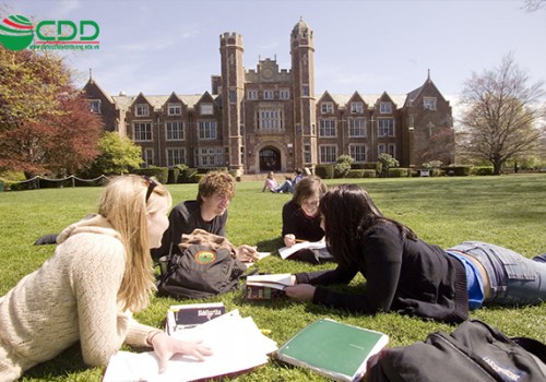 Thế nào là Early Action (EA) ?