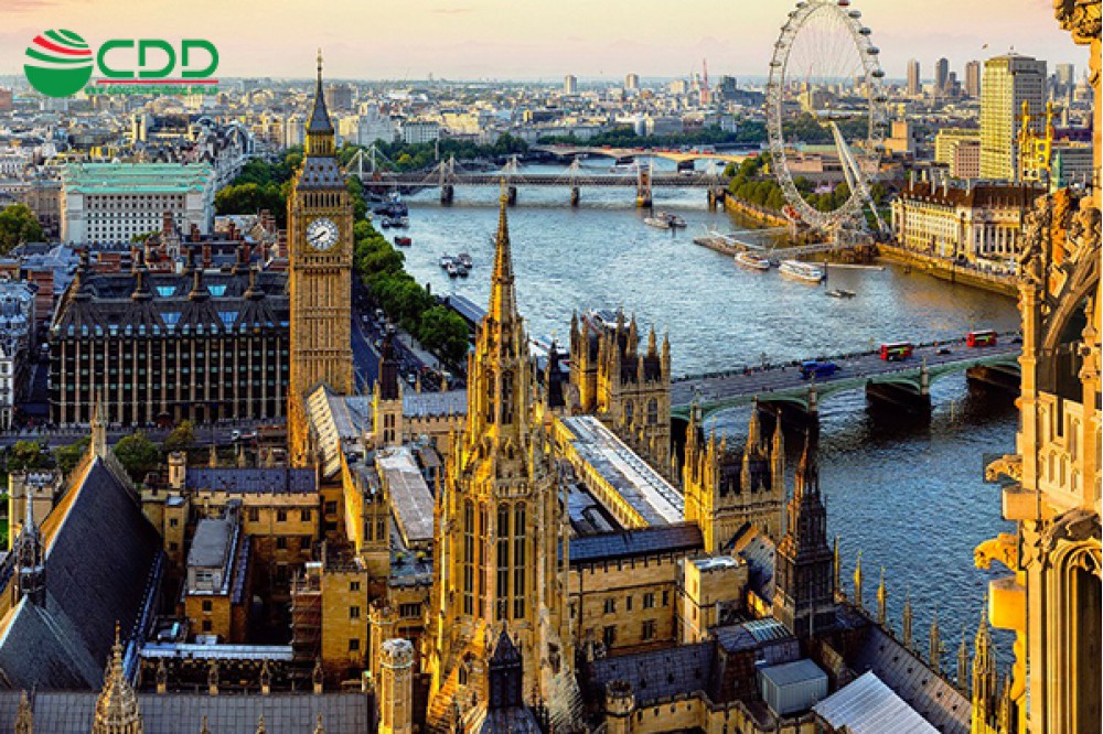 Thế nào là Regular Decision ?