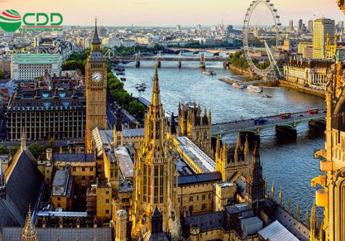 Thế nào là Regular Decision ?