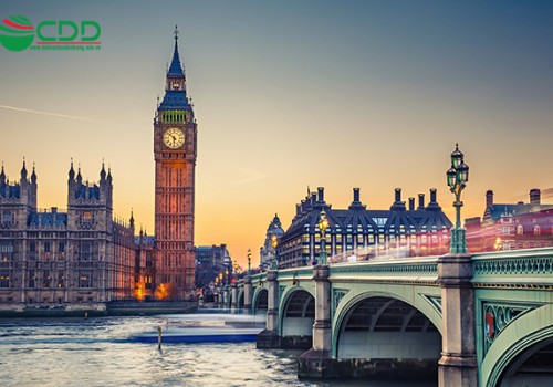 Làm thế nào để nộp đơn đăng ký (application) ?