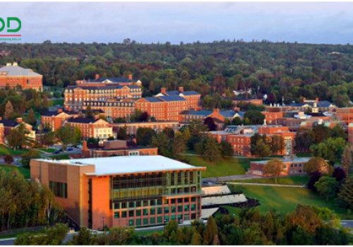 Trường Đại Học New Brunswick - Du học Canada