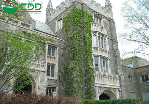 Các trường đại học hàng đầu ở Canada