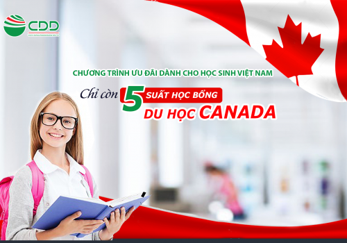 5 suất học bổng còn lại của mùa Winter 2019 từ hệ thống T...