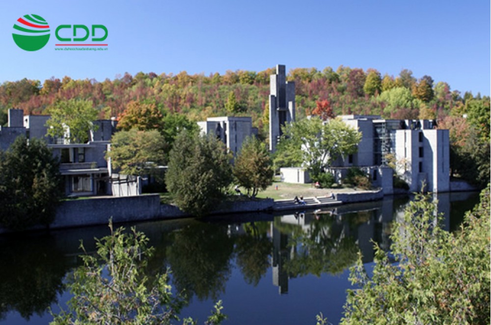 Các kỳ thi chuẩn hoá là gì ?