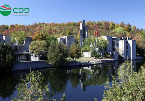 Các kỳ thi chuẩn hoá là gì ?