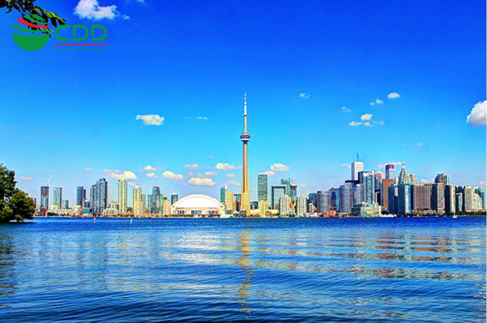 Thế nào là SAT I ?