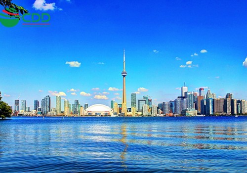 Thế nào là SAT I ?