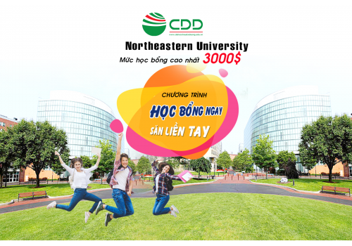 Northeastern University học bổng ngay săn liền tay