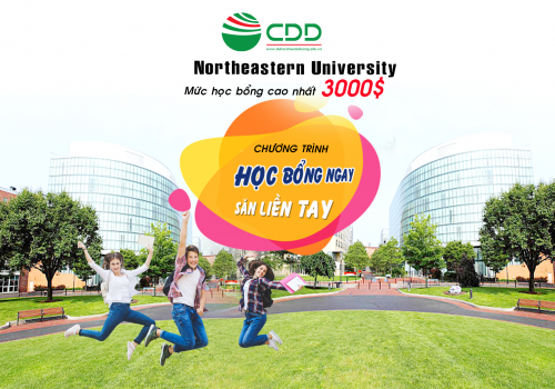 Northeastern University học bổng ngay săn liền tay