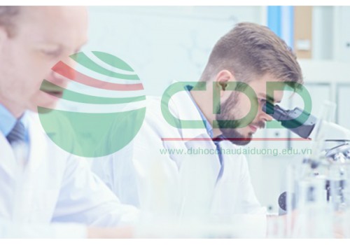 Thạc sỹ về Dược tại Northeastern University