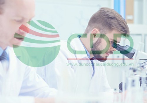 Thạc sỹ về Dược tại Northeastern University