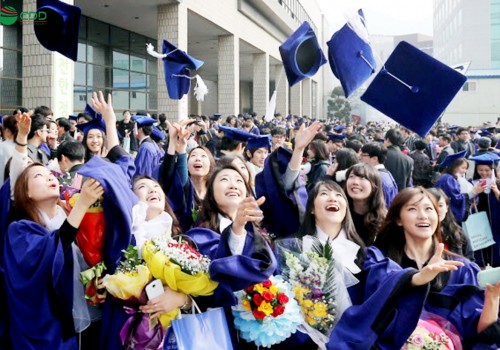 Biểu đồ cấp độ ELS