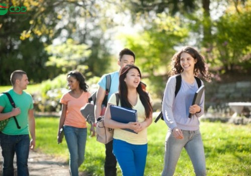 Tốt nghiệp từ một trường của Hoa Kỳ. Tích lũy kinh nghiệm làm việc. Tìm việc.