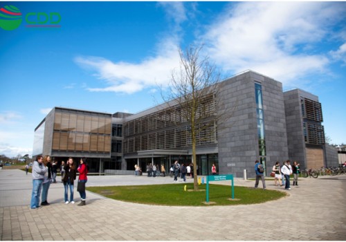 Maynooth University ngôi trường học tập tốt tại Ireland...