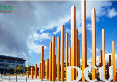 Chọn Dublin City University cho con đường du học Ireland của bạn  