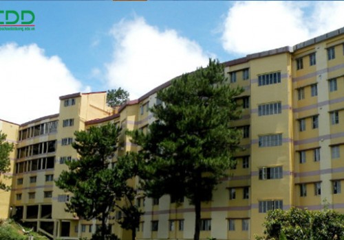 Trường Anh ngữ HELP