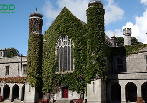 Những trường đại học chất lượng hàng đầu ở Ireland
