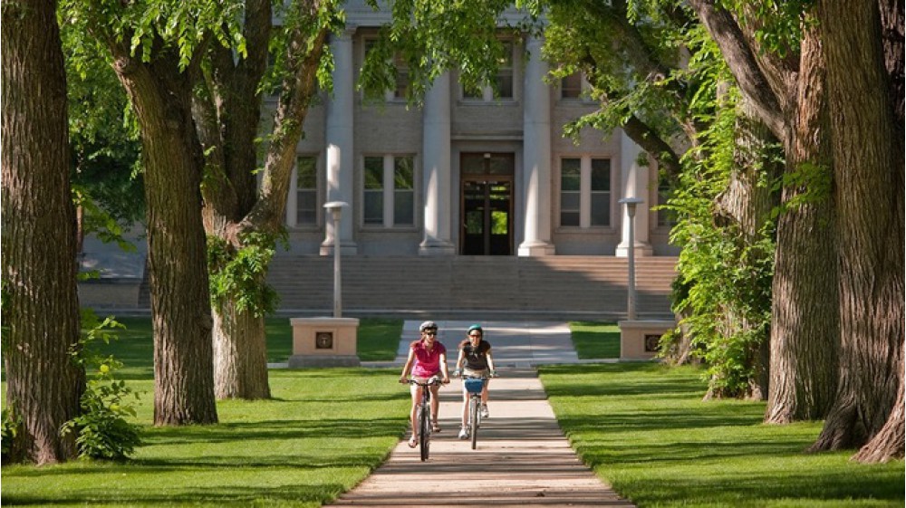 Top 10 trường đại học xanh nhất nước Mỹ