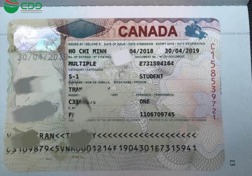 Visa du học - du lịch Canada cuối tháng 4