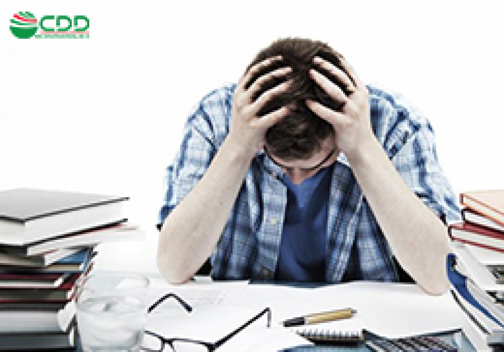 Du học Canada dễ hay khó?