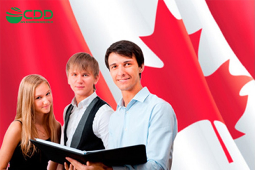 Du học canada hết bao nhiêu tiền