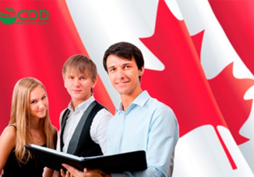 Du học canada hết bao nhiêu tiền