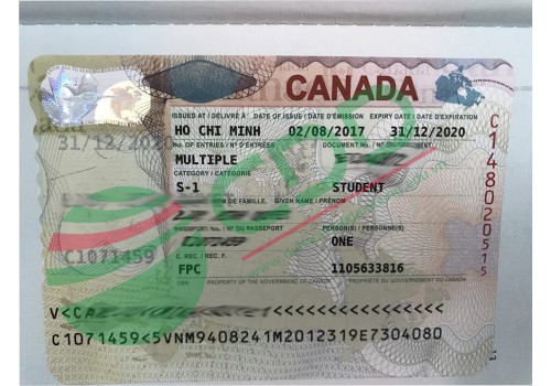 Visa du học Canada - chọn dạng ưu tiên hay không ưu tiên?